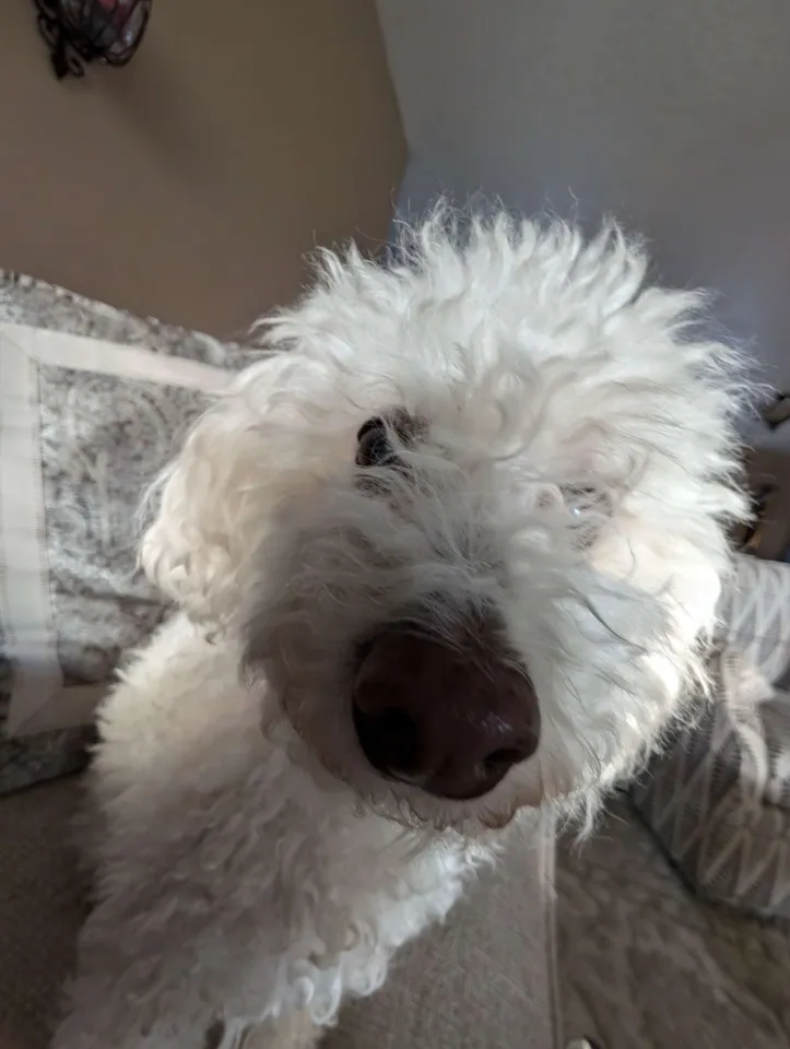 My